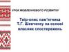 Твір-опис пам’ятника Т.Г. Шевченку на основі власних спостережень