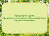 Ознакомление с внешним строением листьев и листорасположением