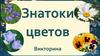 Викторина "Знатоки цветов"