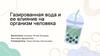 Газированная вода и ее влияние на организм человека