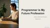 Programmer is My Future Profession