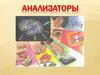 Анализаторы