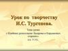 Урок по творчеству И.С. Тургенева. Идейные разногласия Базарова и Кирсановых старших