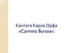 Кантата Карла Орфа «Carmina Burana»