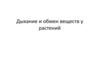 Дыхание и обмен веществ у растений