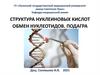 Структура нуклеиновых кислот. Обмен нуклеотидов. Подагра