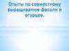 Опыты по совместному выращиванию фасоли и огурцов