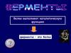 Ферменты – это белки