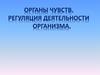 Органы чувств, регуляция деятельности организма