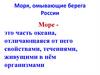 Моря, омывающие берега России