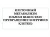 Клеточный метаболизм (обмен веществ и превращение энергии в клетке)