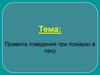 Правила поведения при пожарах в лесу