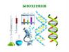 Биохимия. Основные направления биохимии