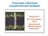 Структура и функция плазматических мембран  (лекция № 3)