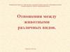 Отношения между животными различных видов