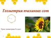 Геометрия пчелиных сот