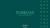 Группа компаний Туркуаз города Стамбул (Турция)