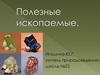 Полезные ископаемые