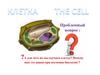 Клетка The Cell