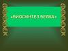 Биосинтез белка