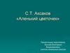 С.Т. Аксаков «Аленький цветочек». Часть 2