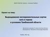 Выращивание экспериментальных сортов нута и гороха в условиях Тамбовской области