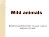 Wild animals