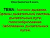 Значение дыхания. Органы дыхательной системы; дыхательные пути, голосообразование. Заболевания дыхательных путей