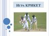 Игра крикет