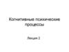 Когнитивные психические процессы. Лекция 2