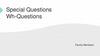 Special Questions / Wh-questions