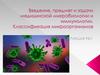 Введение, предмет и задачи медицинской микробиологии и иммунологии. Классификация микроорганизмов. Лекция №1