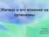 Железо и его влияние на организмы