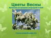 Цветы весны