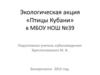 Экологическая акция «Птицы Кубани»