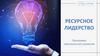 Ресурсное лидерство