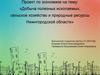 Экономика. Добыча полезных ископаемых, сельское хозяйство и природные ресурсы Нижегородской области