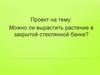 Проект "Можно ли вырастить растение в закрытой стеклянной банке?"