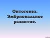 Онтогенез. Эмбриональное развитие