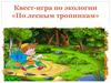 Квест-игра по экологии «По лесным тропинкам»
