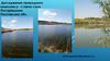 Дослідження природного комплексу - ставок село