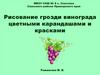 Рисование грозди винограда цветными карандашами и красками