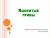 Ядовитые грибы
