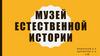 Музей естественной истории