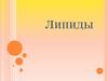 Липиды. Функции липидов