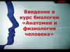 Введение в курс анатомии и физиологии человека