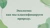 Классификация природы