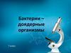 Бактерии - доядерные организмы. Тема 3. 7 класс