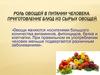 Роль овощей в питании человека. Приготовление блюд из сырых овощей