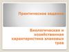 Биологическая и хозяйственная характеристика злаковых трав. Практическое задание